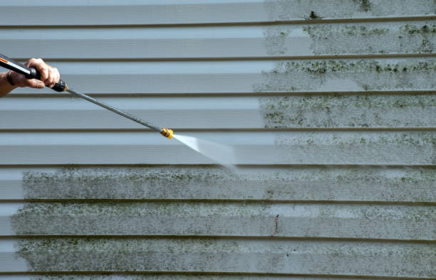 Mold Testing and Removal in New Bedford, MA