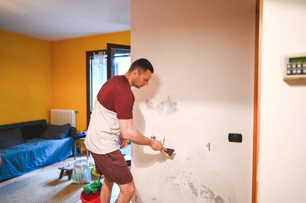 Best Mold Removal Company Near Me  in New Bedford, MA